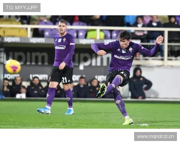 塞尔维亚国家队头号射手:弗拉霍维奇的国家队角色 塞尔维亚国家队头号射手:弗拉霍维奇的国家队角色